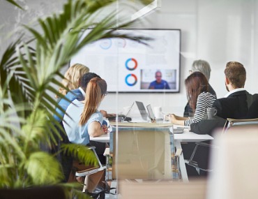Business team meeting with plants in foreground